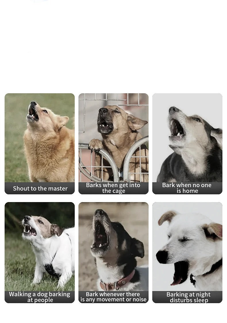 Effective Dog Bark Control Training Device