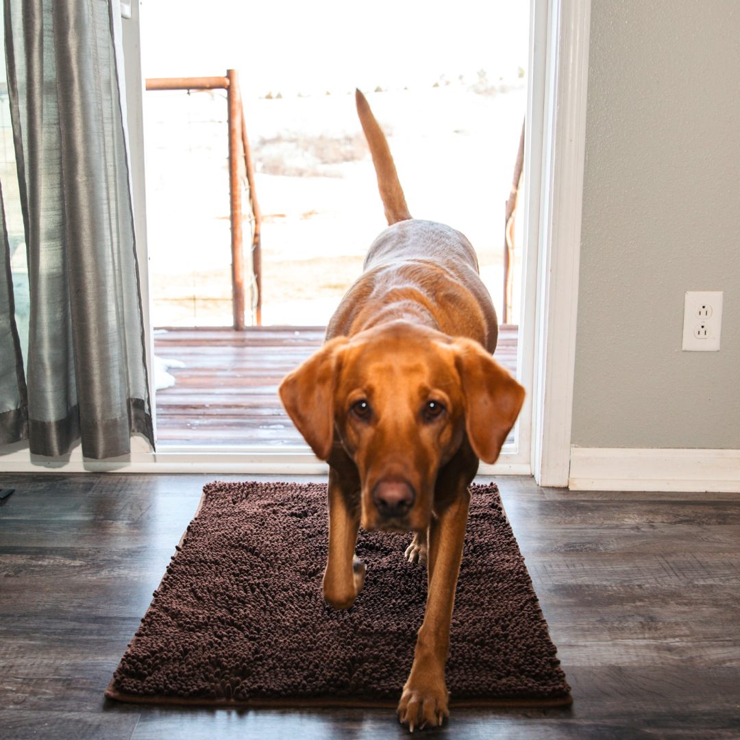 Pet Welcome Door Mat