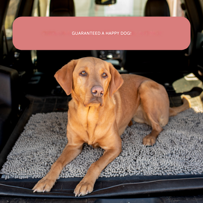 Pet Welcome Door Mat - Befez