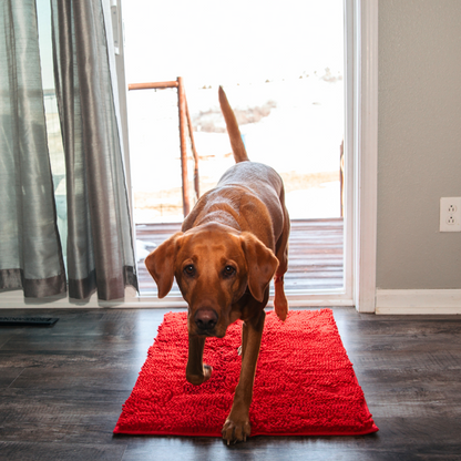 Pet Welcome Door Mat