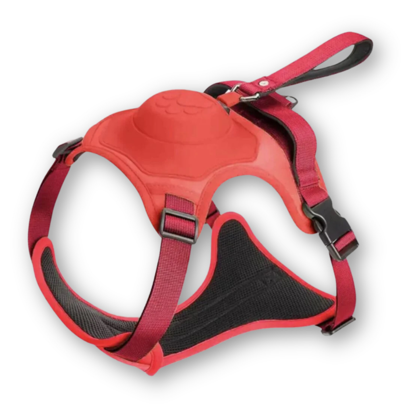 Retractable Dog Leash and Harness Set