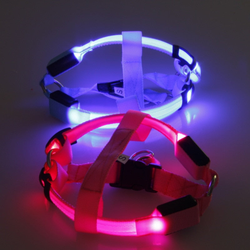 Reflective Pet Harness with LED Lights - Befez