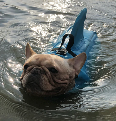 Pet Safety Vest - Dog Floatation Jacket