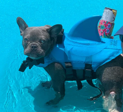 Pet Safety Vest - Dog Floatation Jacket