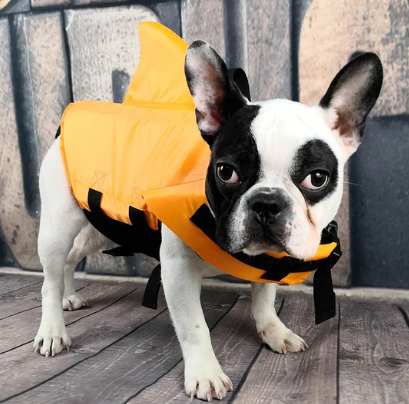 Pet Safety Vest - Dog Floatation Jacket