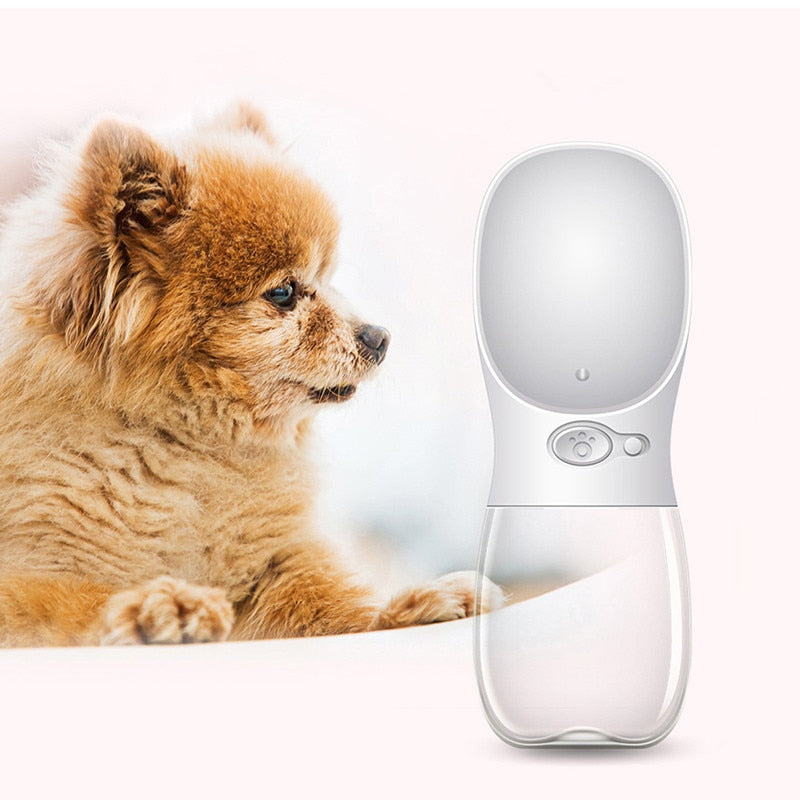 Portable Dog Water Bottle for Travel