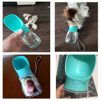 Portable Dog Water Bottle for Travel