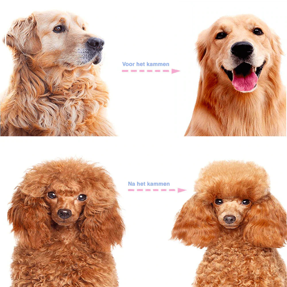 Easy Pet Hair Remover Comb Tool