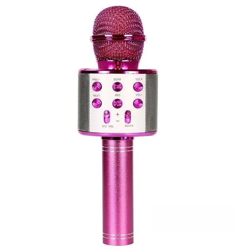 Wireless Bluetooth Karaoke Microphone - Befez