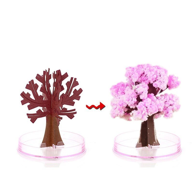 Beautiful Pink Sakura Tree for Home Garden - Befez