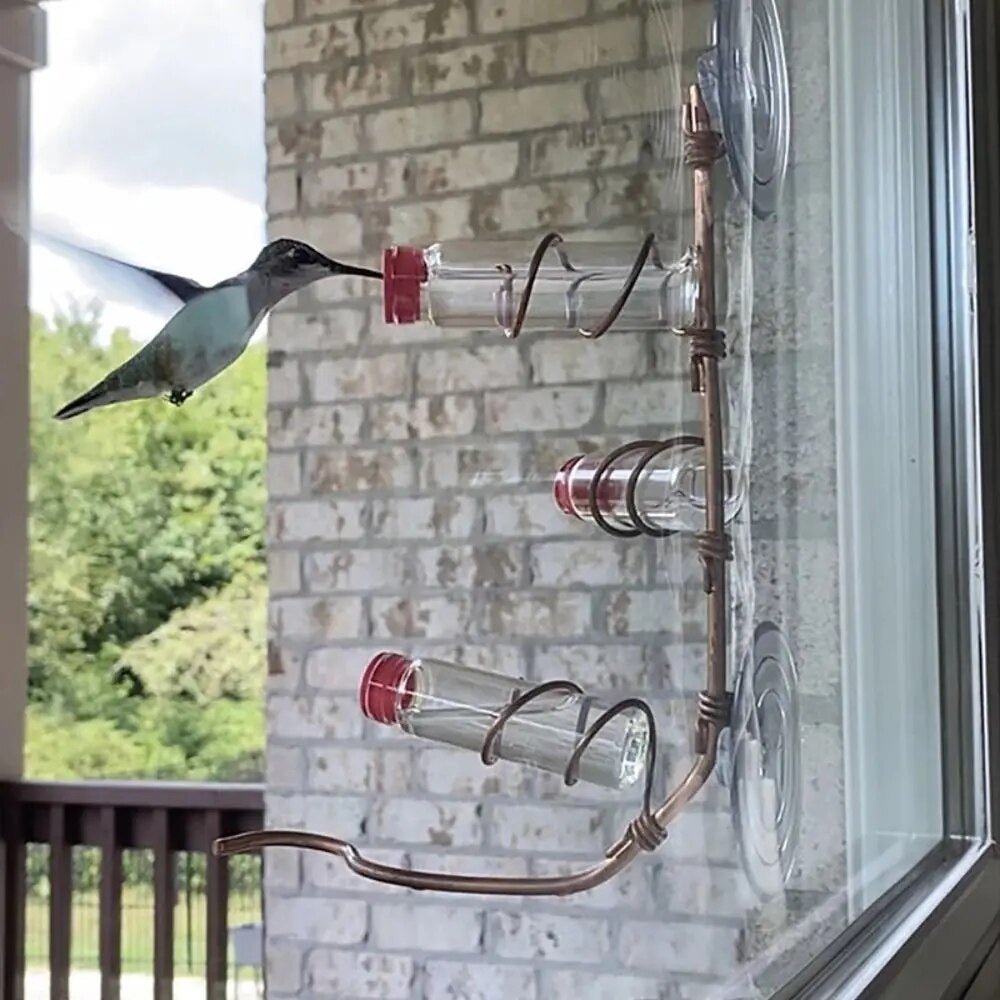 Bird Watching Window Feeder - Befez