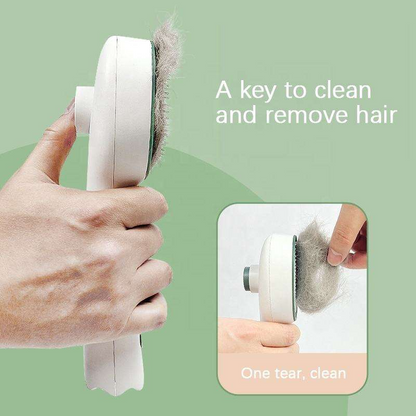 Pet Tick Remover Brush