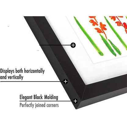 Befez | Fun Artwork Display Frame