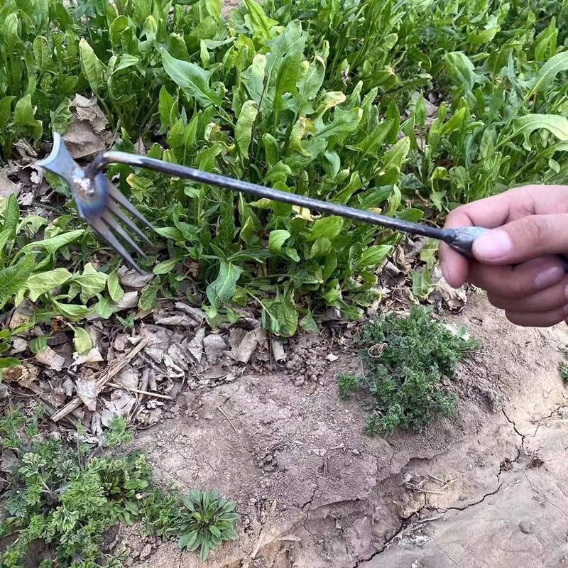 Effective Garden Weed Puller Tool