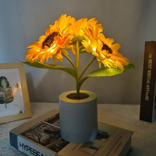 Solar Powered LED Nightlight - Befez