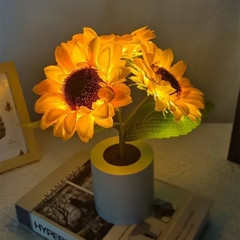 Solar Powered LED Nightlight