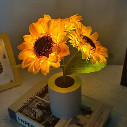Solar Powered LED Nightlight