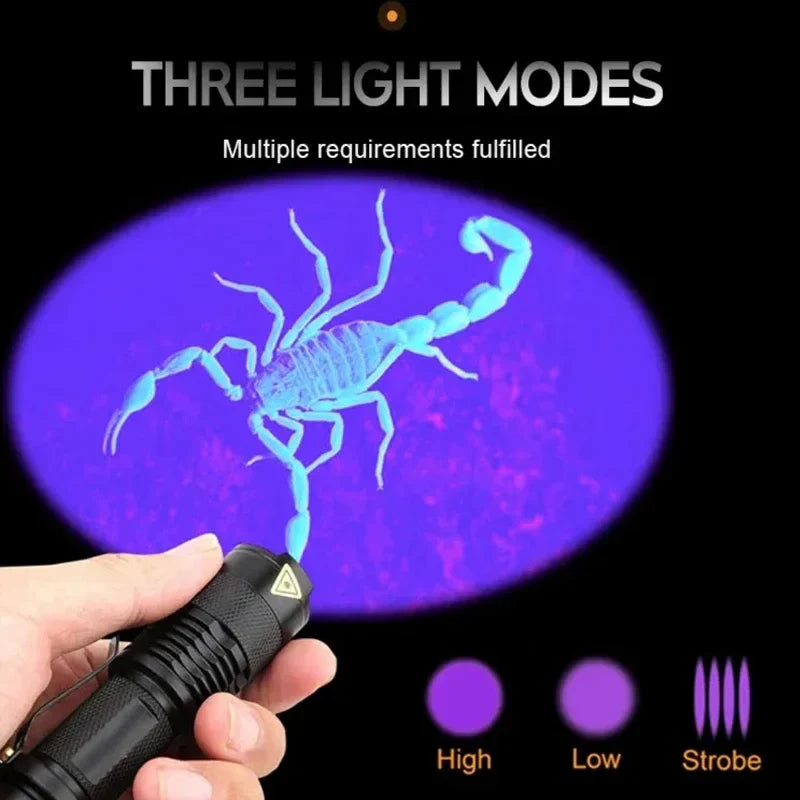 Powerful Black Light Detector Flashlight