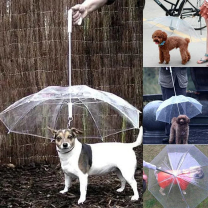 Pet Friendly Rain Umbrella with Handle - Befez