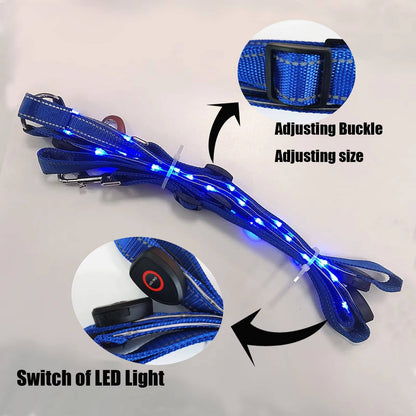 LED Horse Chest Strap Harness
