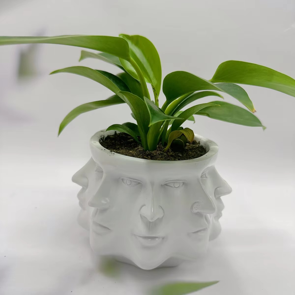 Stylish Planter Ceramic Pot