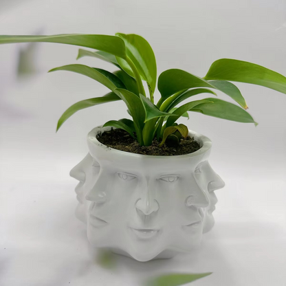 Stylish Planter Ceramic Pot