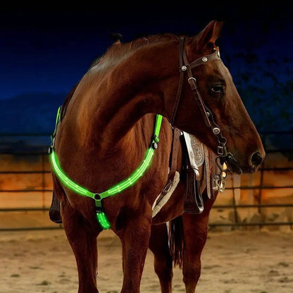 Reflective Horse Breastplate LED Lights - Befez