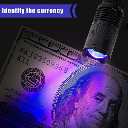 Powerful Black Light Detector Flashlight