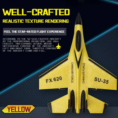 Easy Fly Remote Control Airplane Starter Kit
