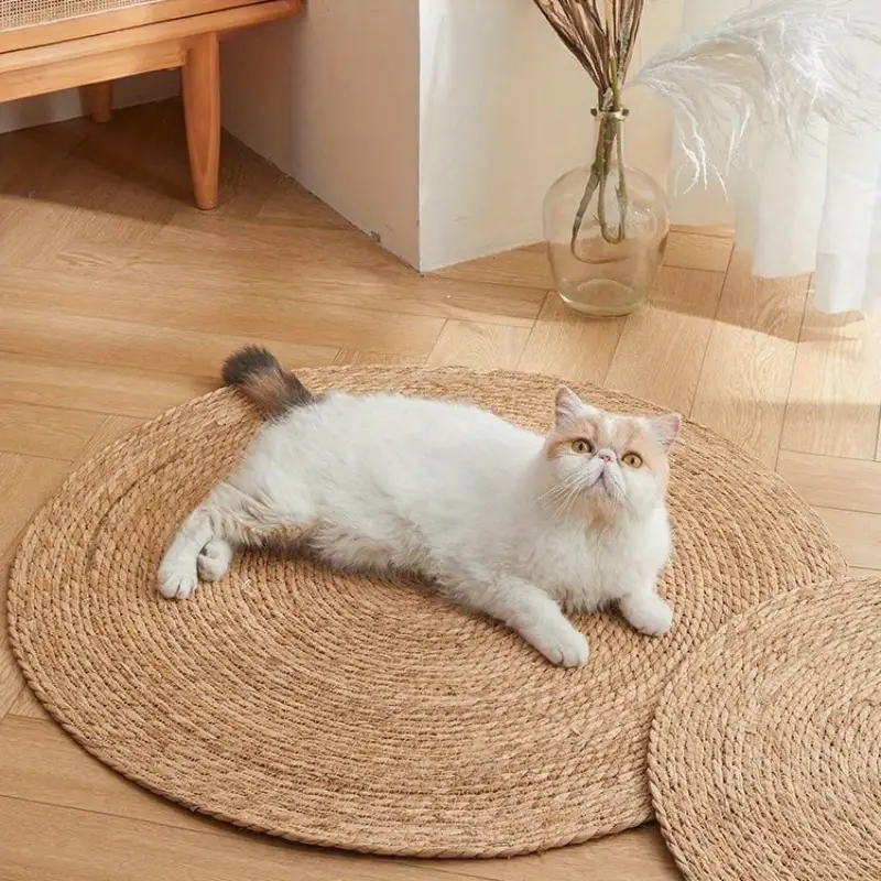 Durable Scratch Guard Cat Tower