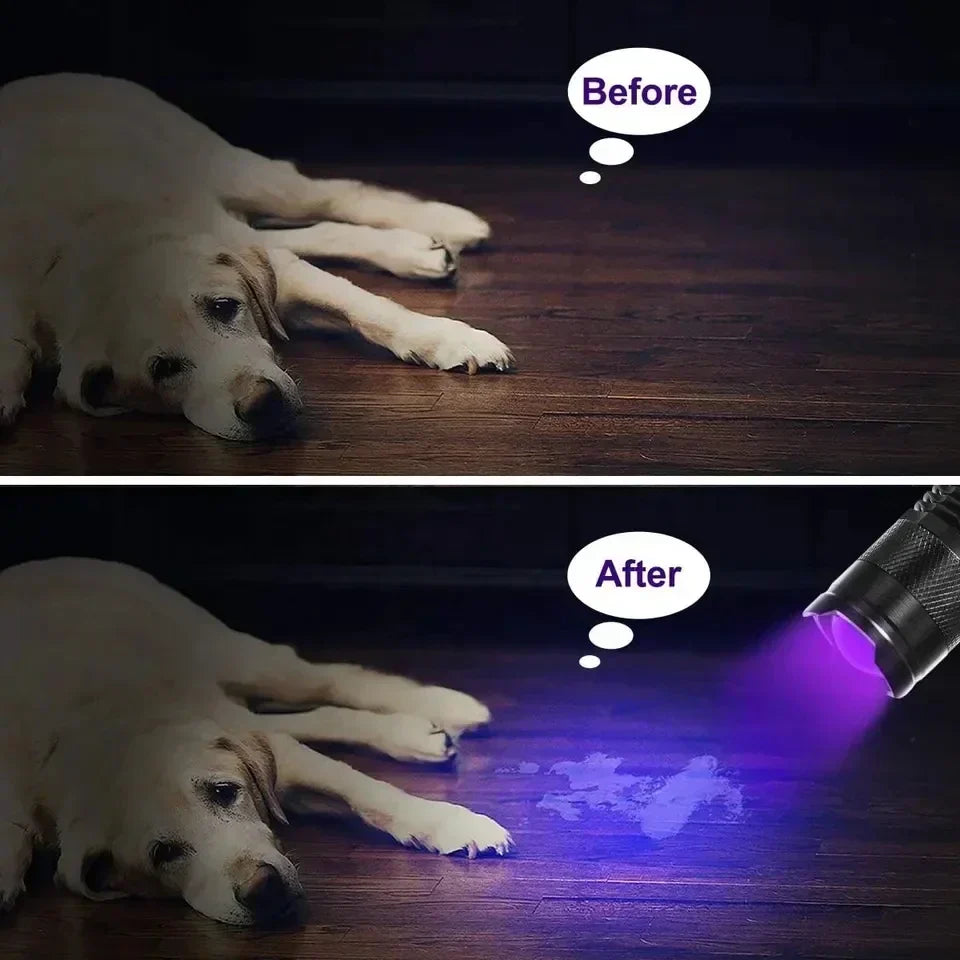 Powerful Black Light Detector Flashlight