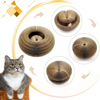 Fun Cat Scratching Post Board