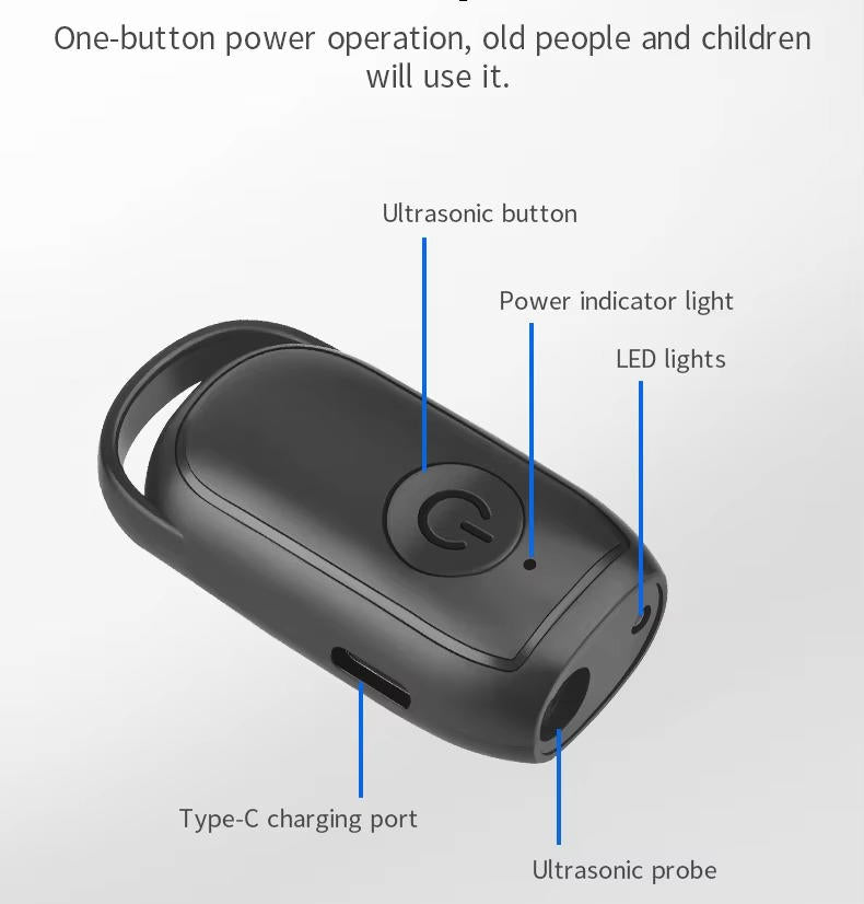Electronic Pet Deterrent Device