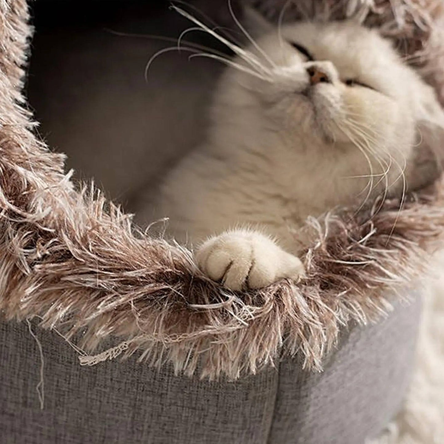 Cozy Fleece Kitty Bed