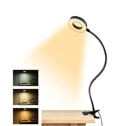 Adjustable Desk Light 360° Flexible Reading Lamp