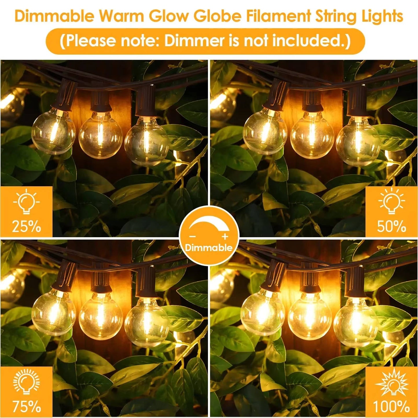Bright Garden Party Lights