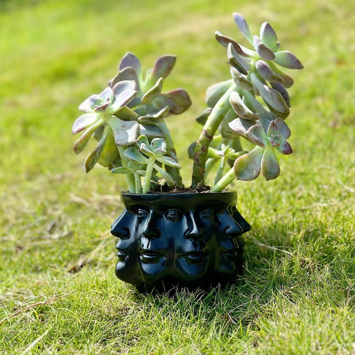 Stylish Planter Ceramic Pot