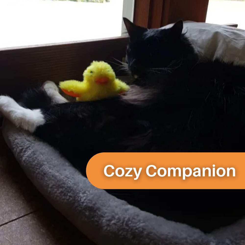 Fun Interactive Cat Toy Duck