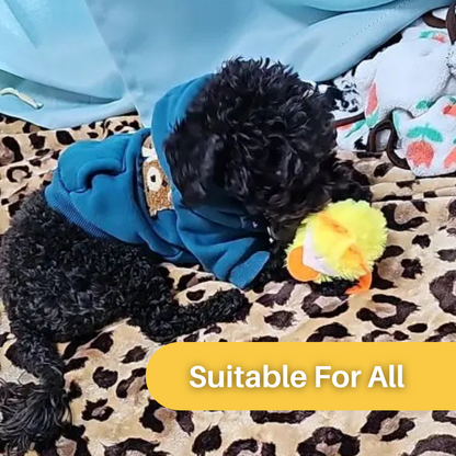 Fun Interactive Cat Toy Duck