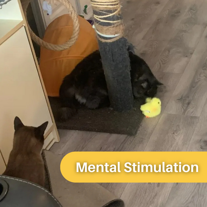 Fun Interactive Cat Toy Duck