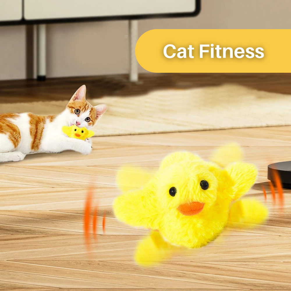 Fun Interactive Cat Toy Duck
