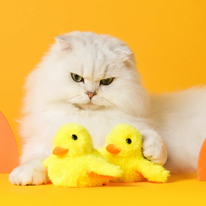 Fun Interactive Cat Toy Duck - Befez
