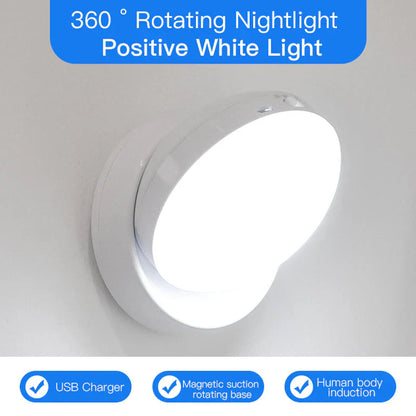 Automatic LED Plug Night Light