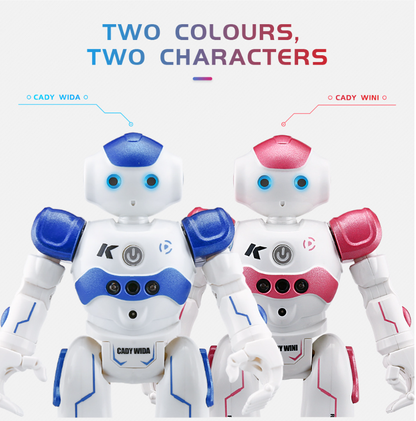 Smart RC Robot Toy