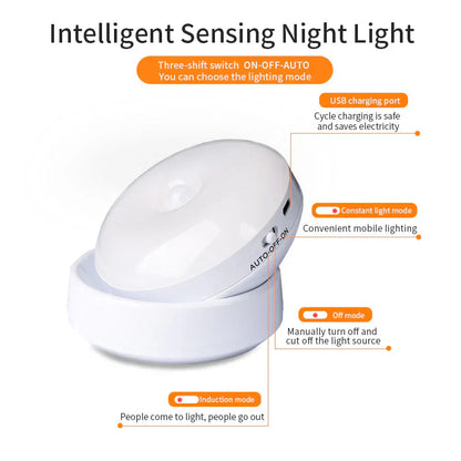 Automatic LED Plug Night Light