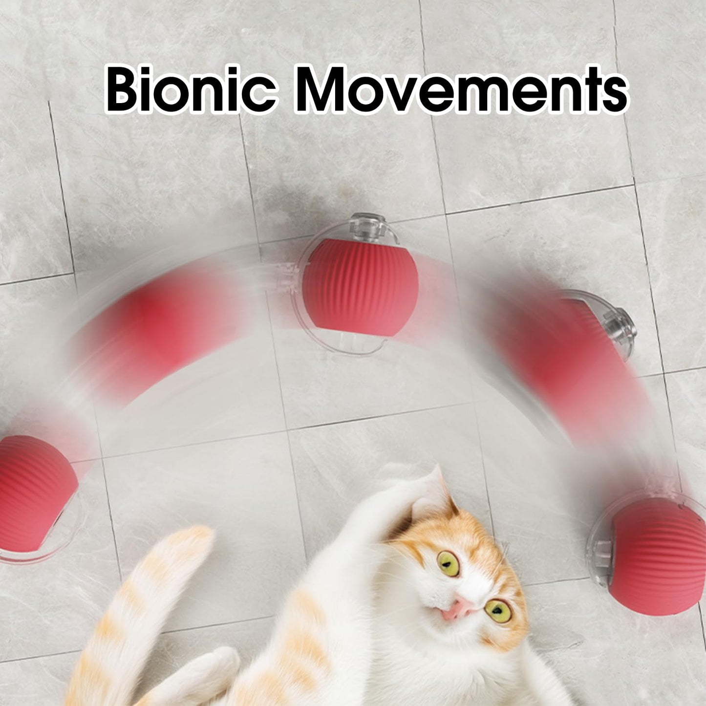 Fun Interactive Pet Ball Set
