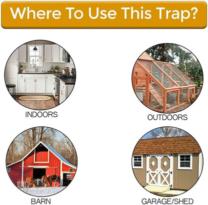 Effective Rat Trap for Home Pest Control