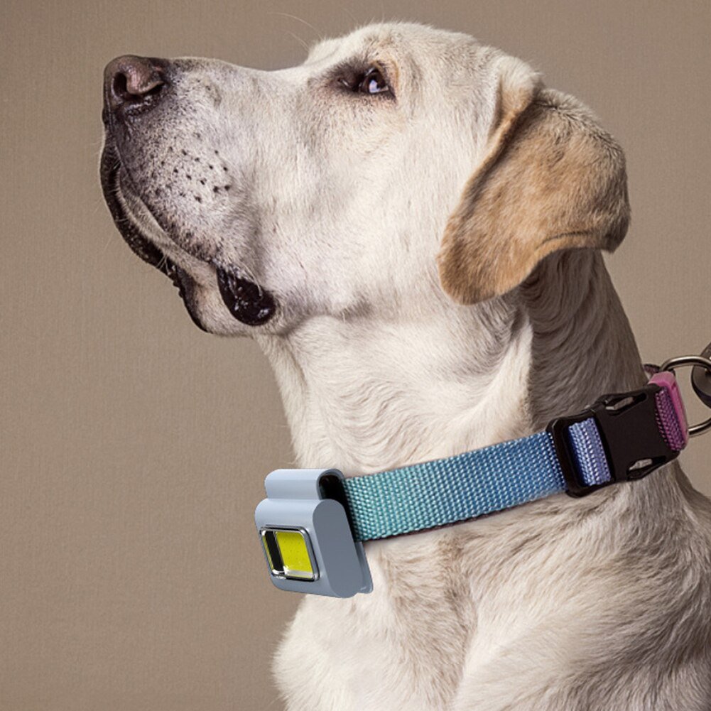 Compact Portable LED Clip On Lamp