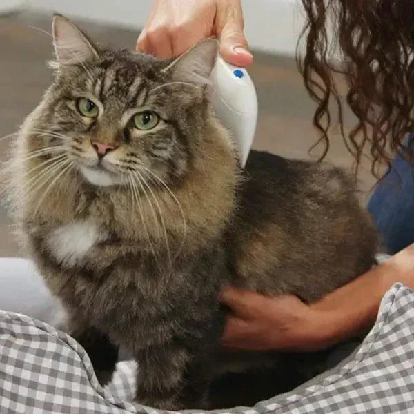 Fast Pet Flea Removal Tool - FleaZap