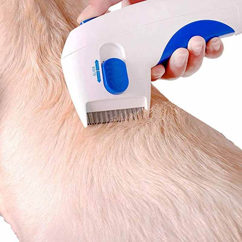 Fast Pet Flea Removal Tool - FleaZap